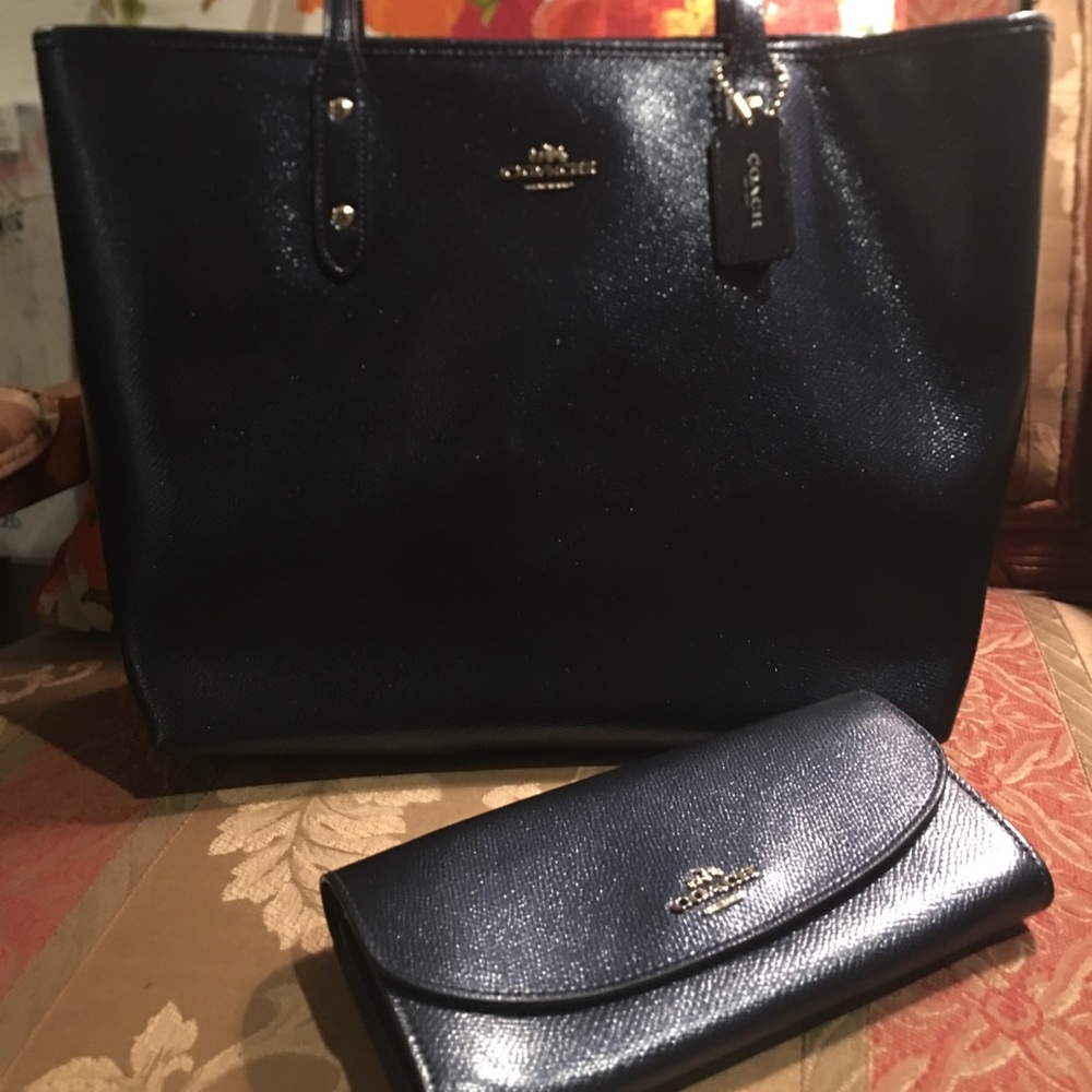 🦋Coach metallic blue set🦋
